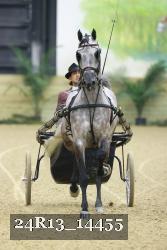 24R13_14455 thumbnail