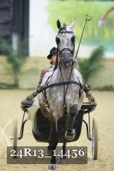 24R13_14456 thumbnail
