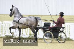24R13_14457 thumbnail