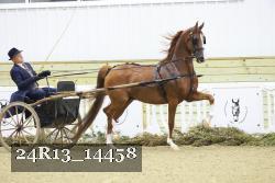 24R13_14458 thumbnail