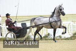 24R13_14462 thumbnail