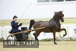 24R13_14463 thumbnail