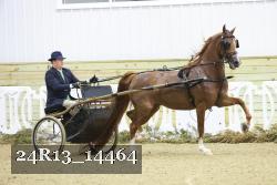 24R13_14464 thumbnail