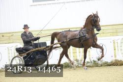 24R13_14465 thumbnail