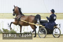 24R13_14468 thumbnail