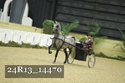 24R13_14470 thumbnail