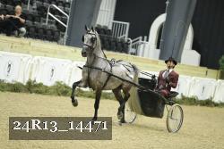 24R13_14471 thumbnail