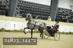 24R13_14472 thumbnail