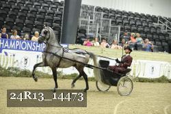24R13_14473 thumbnail