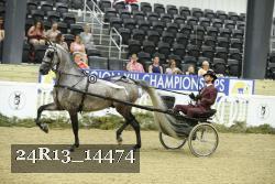 24R13_14474 thumbnail