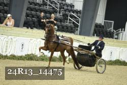 24R13_14475 thumbnail