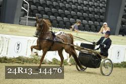 24R13_14476 thumbnail