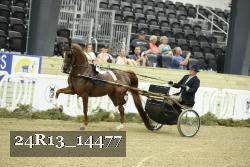 24R13_14477 thumbnail