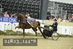 24R13_14478 thumbnail