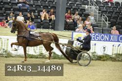 24R13_14480 thumbnail