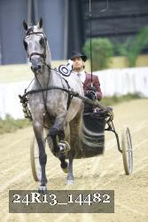 24R13_14482 thumbnail