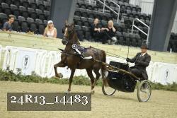 24R13_14483 thumbnail