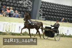 24R13_14484 thumbnail