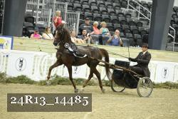 24R13_14485 thumbnail