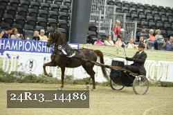 24R13_14486 thumbnail