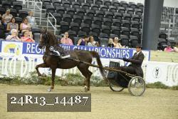 24R13_14487 thumbnail
