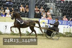 24R13_14488 thumbnail
