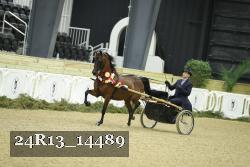 24R13_14489 thumbnail