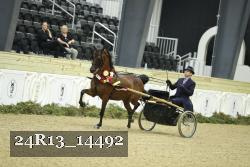 24R13_14492 thumbnail