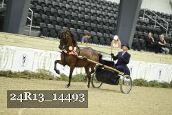 24R13_14493 thumbnail