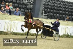 24R13_14496 thumbnail