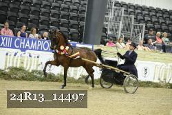 24R13_14497 thumbnail