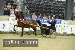 24R13_14499 thumbnail