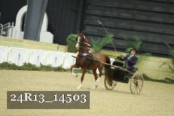 24R13_14503 thumbnail