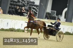24R13_14505 thumbnail