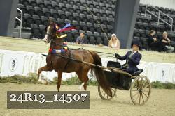 24R13_14507 thumbnail