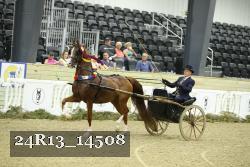 24R13_14508 thumbnail