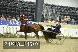24R13_14510 thumbnail