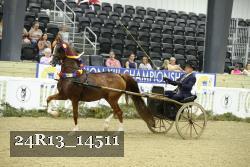 24R13_14511 thumbnail