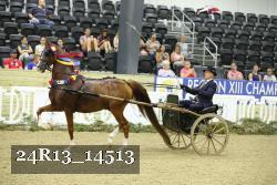24R13_14513 thumbnail