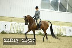 24R13_14517 thumbnail