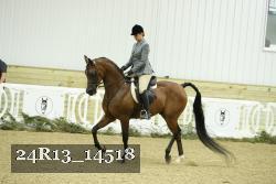 24R13_14518 thumbnail