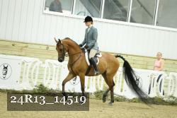 24R13_14519 thumbnail