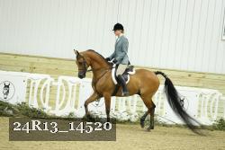 24R13_14520 thumbnail