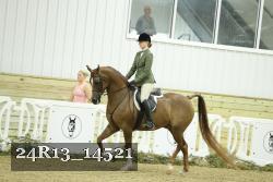 24R13_14521 thumbnail