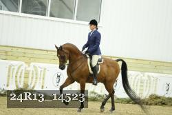 24R13_14523 thumbnail