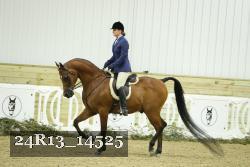 24R13_14525 thumbnail