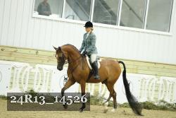 24R13_14526 thumbnail