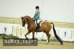 24R13_14527 thumbnail