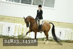 24R13_14528 thumbnail