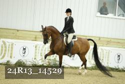 24R13_14529 thumbnail
